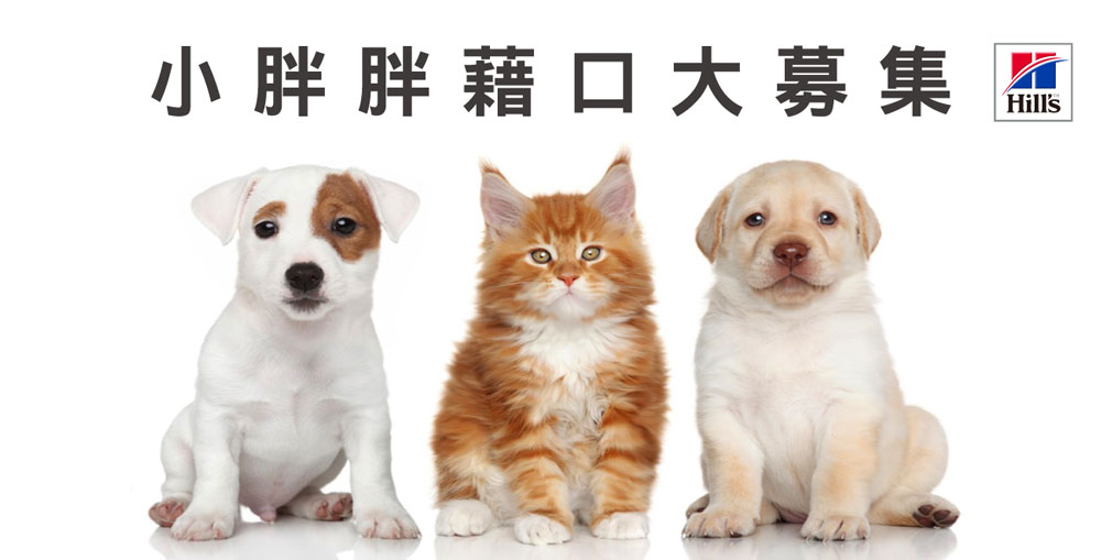 動物友善